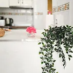 Torrevieja City Apartment Торевьиа