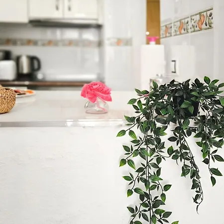 Torrevieja City Apartment Torrevieja